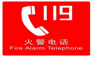 关于119的作文600字5篇