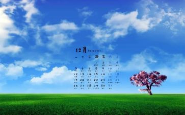 工作12月总结推荐8篇