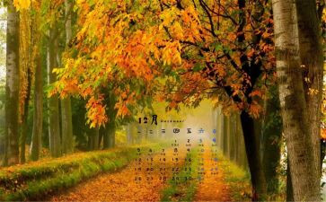 12月工作心得体会7篇