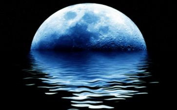 大班11月份工作计划5篇