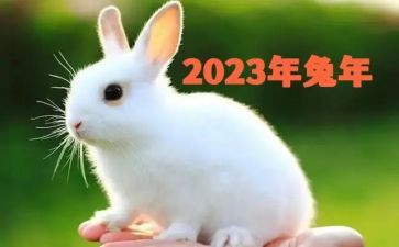 2023年小学学校年度工作计划优质5篇(小学2023年度优质工作计划精选)