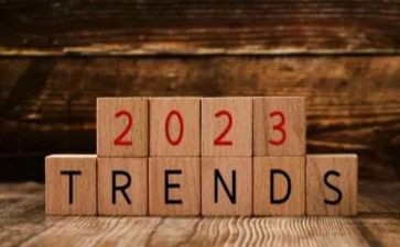 2023小学教师年度个人工作总结范文怎么写最新5篇(小学教师2023年度个人工作总结：5篇最新范文解析)