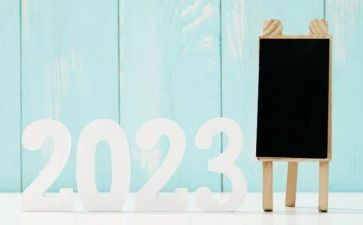 2023年信访工作总结5篇(2023年信访工作总结：优化改革，服务民生)