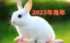 2023音乐教师教学工作总结优秀5篇