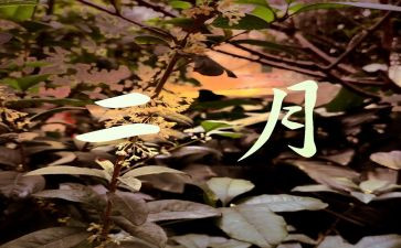 2月安全工作总结5篇