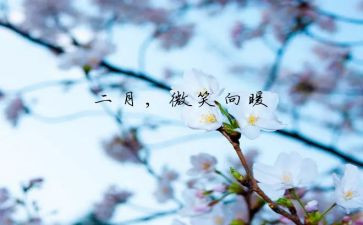 2月份安全工作总结5篇
