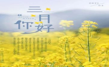 3月教师工作总结5篇