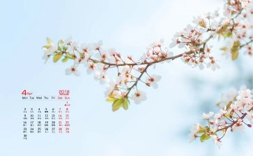 学生会4月工作总结5篇