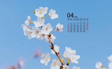 4月工作计划6篇