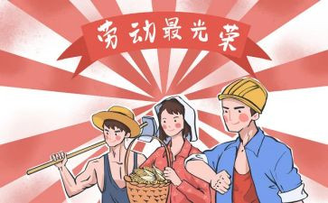 517案件心得体会5篇
