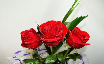 520淘宝活动策划8篇