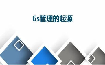 6s的心得体会模板8篇