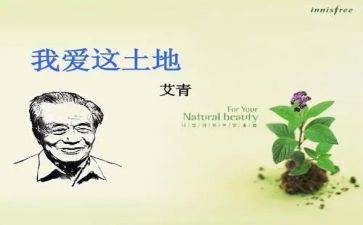 桥艾青诗选读后感通用5篇