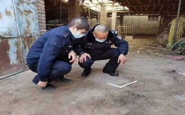 档案管理工作总结模板5篇(