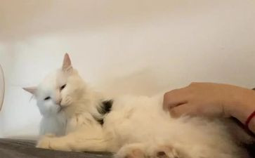 按摩的心得体会8篇