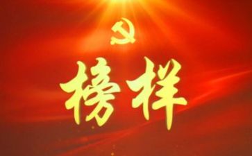 我们的榜样作文5篇