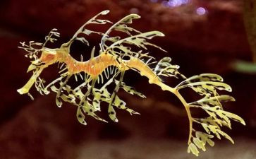 高中生物工作总结优秀5篇