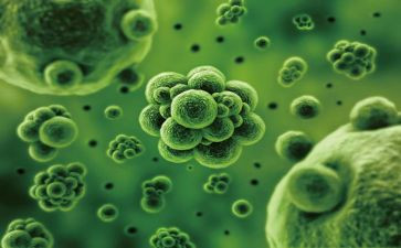 学生物的心得体会精选6篇
