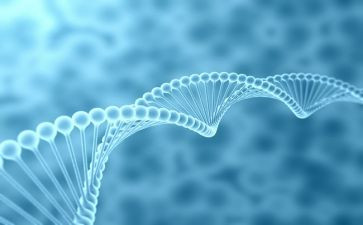 生物备课组长工作计划6篇