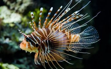 学生物的心得体会优秀7篇