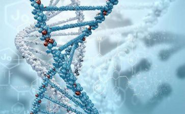 学生物的心得体会优质7篇