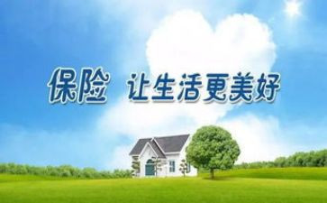 2024上半年保险工作总结5篇