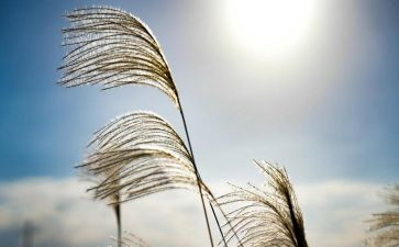 把握当下演讲稿7篇