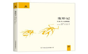 变形蚂蚁作文600字5篇