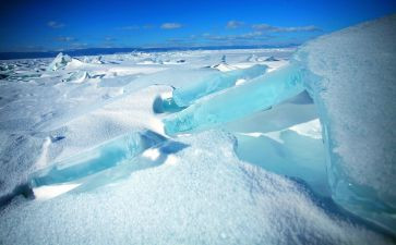 鲁冰的鲁冰花园读后感通用6篇