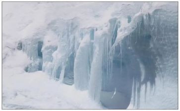 冰箱的作文300字5篇