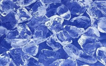 鲁冰的鲁冰花园读后感参考6篇