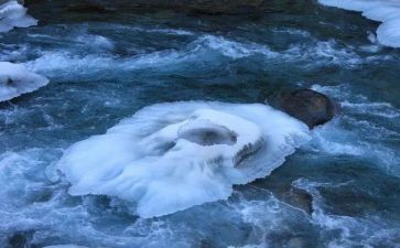 鲁冰的鲁冰花园读后感精选5篇