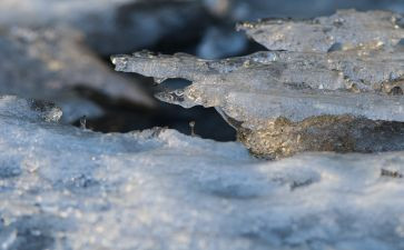 繁星冰心读后感优质6篇