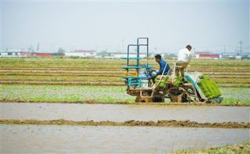 幼儿园播种子教案7篇