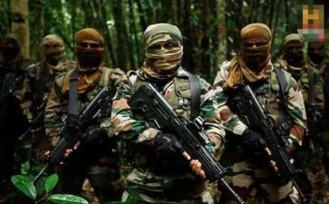 个人半年总结报告部队7篇(个人半年成绩单:与部队并肩前行的7篇总结)