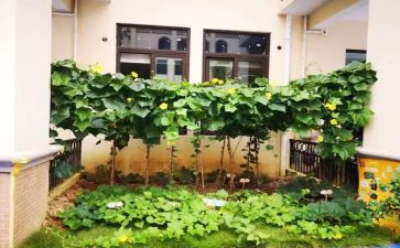 《菜根谭》读后感600字作文最新5篇(《菜根谭》：智慧的种子，启迪心灵)
