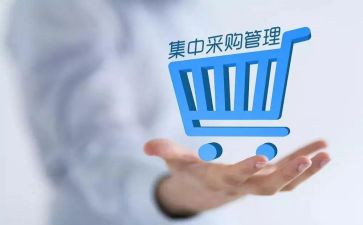 2024年个人采购工作总结参考8篇