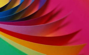 美术彩色的花教案5篇