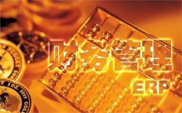 财务个人半年度工作总结模板7篇