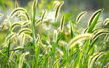 烟草职工年终总结5篇