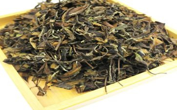 小班茶主题教案推荐8篇