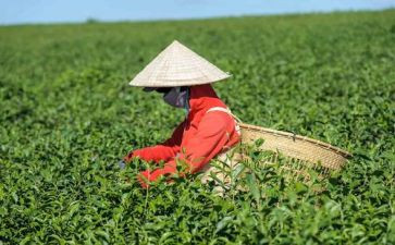 奶茶店工作总结7篇