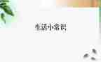常识与反常识的作文5篇