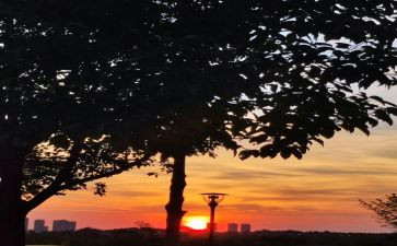 只争朝夕不负韶华主题演讲稿5篇