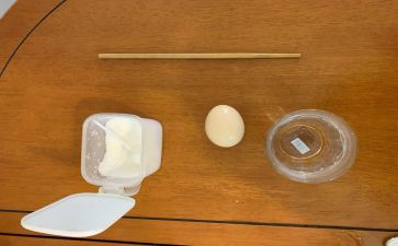 水的沉浮中班科学教案8篇