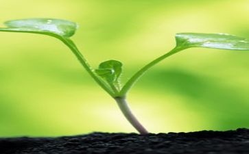 成长营心得体会精选8篇