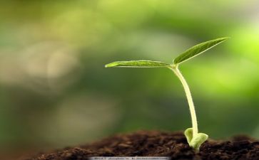 成长类作文400字精选6篇