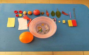 沉与浮优秀教案通用8篇