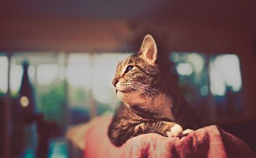 出彩初中作文8篇