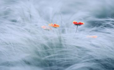 触动我的作文6篇